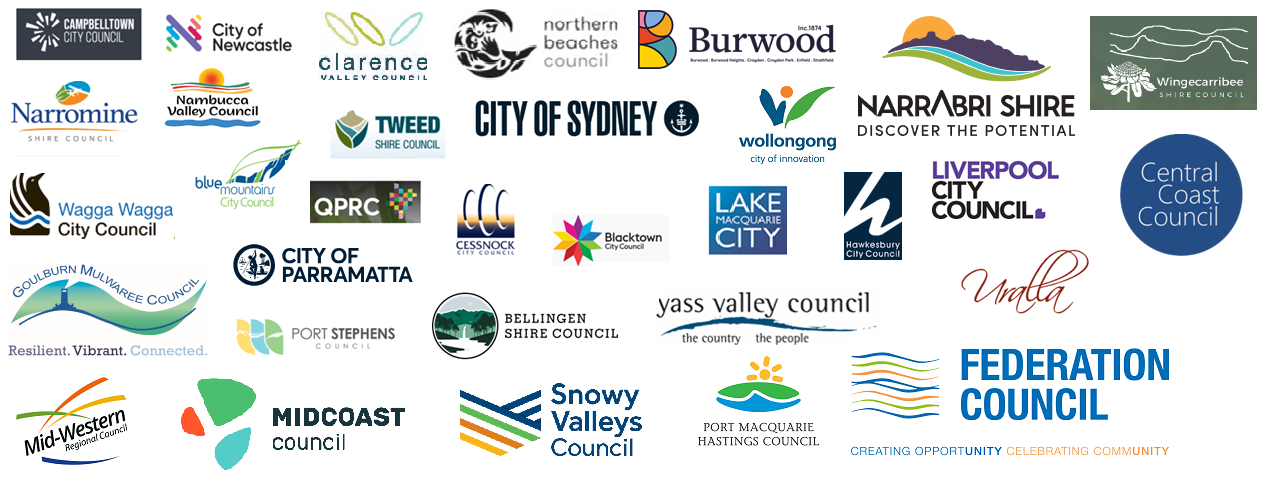 Local Government support horzontial 33